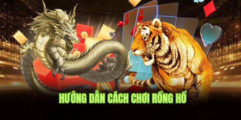 Hướng dẫn cụ thể về cách chơi Rồng Hổ cho newbie chưa biết