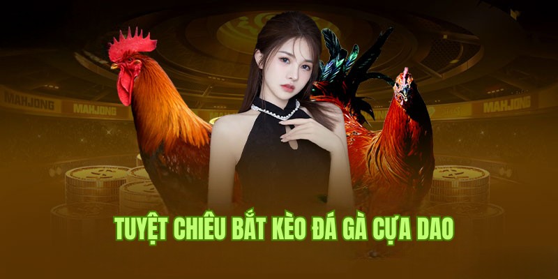 Kinh nghiệm cược đá gà cựa dao luôn thắng dành cho hội viên