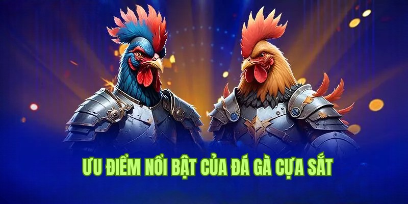 Điểm đặc biệt giúp đá gà cựa sắt thu hút nhiều người chơi