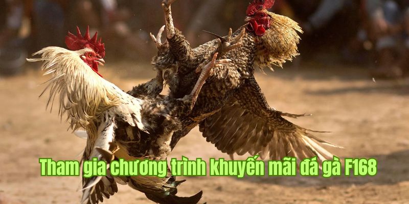 Khuyến mãi đá gà F168 hoàn trả lên đến tỷ lệ 2% 