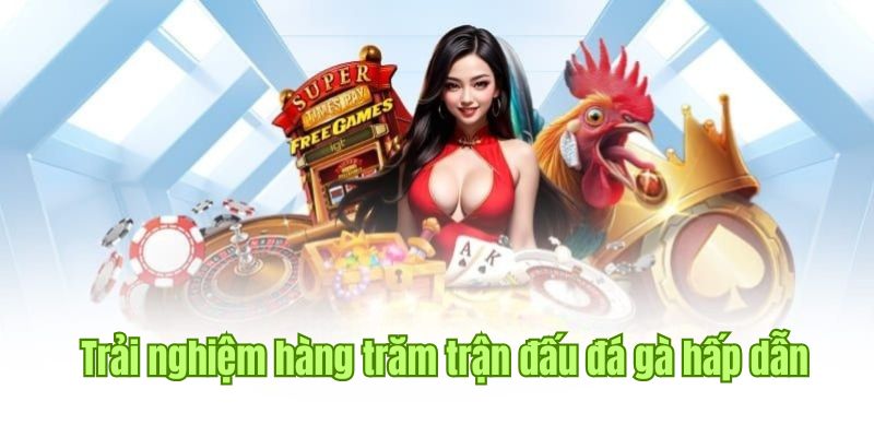 Chơi đá gà cùng đa dạng hình thức đặt cược F168