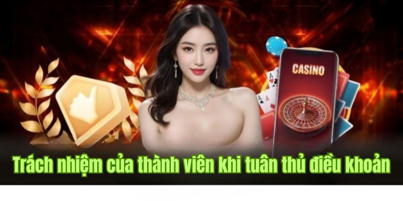 Tổng hợp thông tin về trách nhiệm người tham gia tại F168